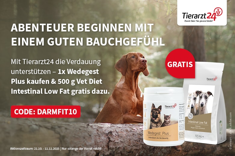 Tierarzt24 Wedegest Plus + Tierarzt24 Vet Diet Intestinal Low Fat 500 g